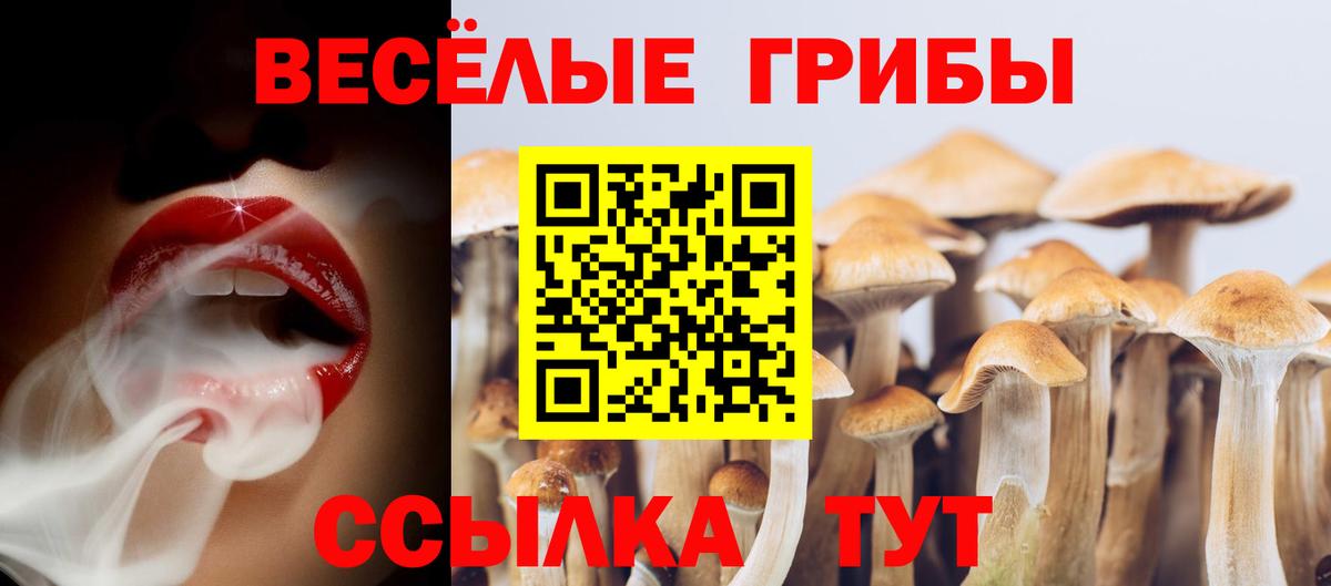 Псилоцибиновые грибы прущие грибы  Вход с VPN  Алексин 
