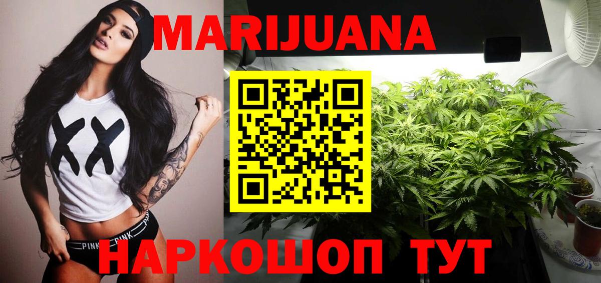 Бошки марихуана планчик  Вход с VPN  Алексин  Шишки марихуана Bruce Banner 